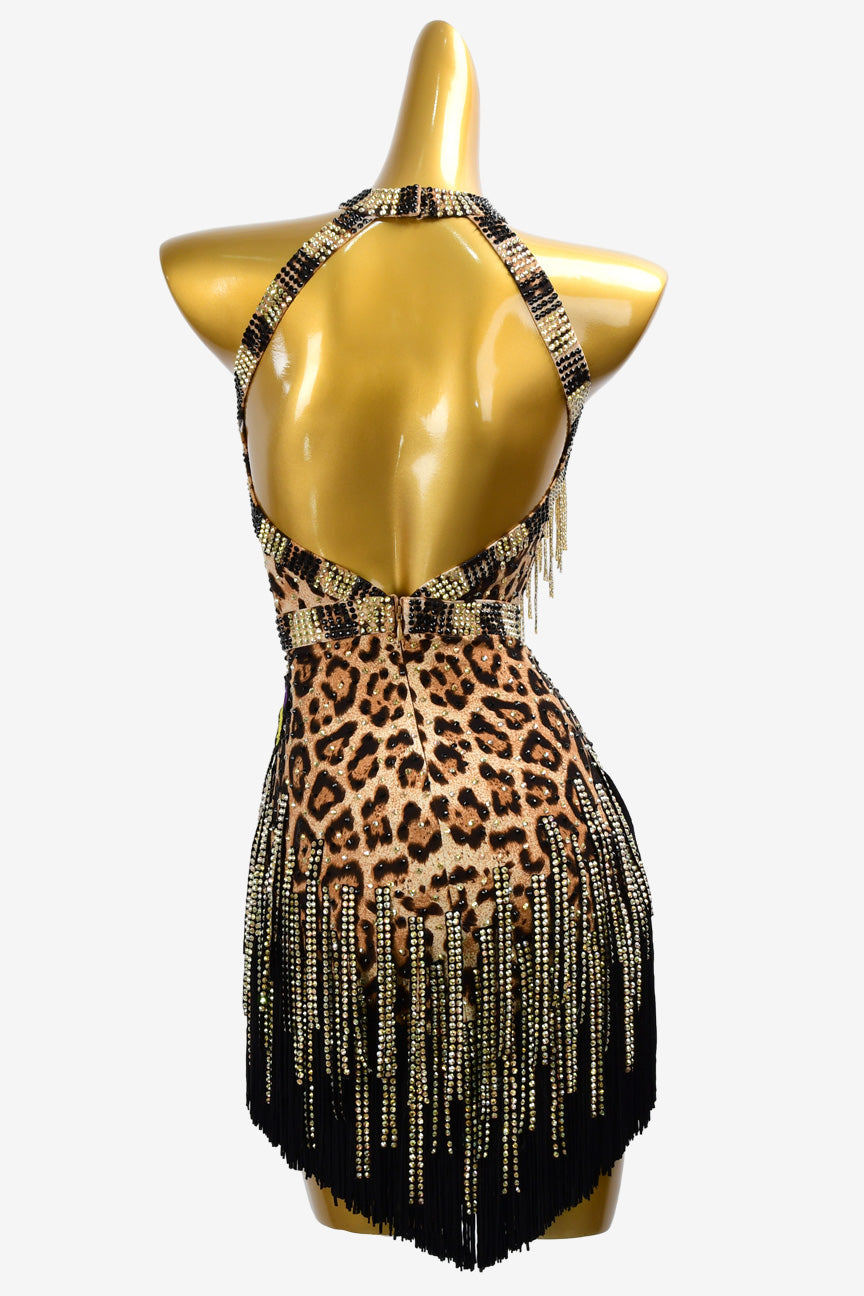 Permino leopard print Latin dress with crystal AB, fringe, beaded fringe and stone fringes
